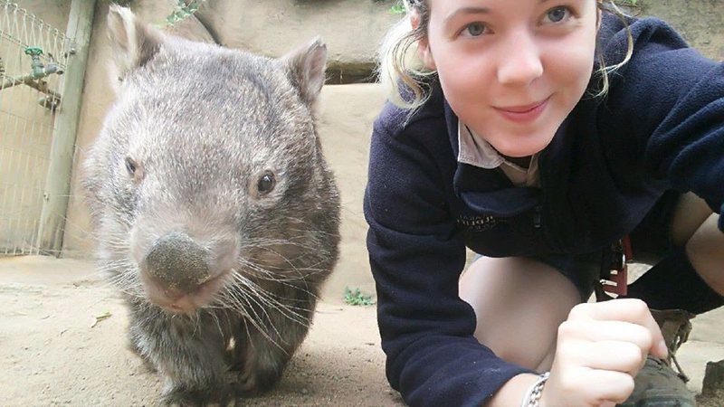 Internet-famous Patrick the wombat with a human carer at the Ballarat Wildlife Park in Victoria, Australia (Facebook/Ballarat Wildlife Park)